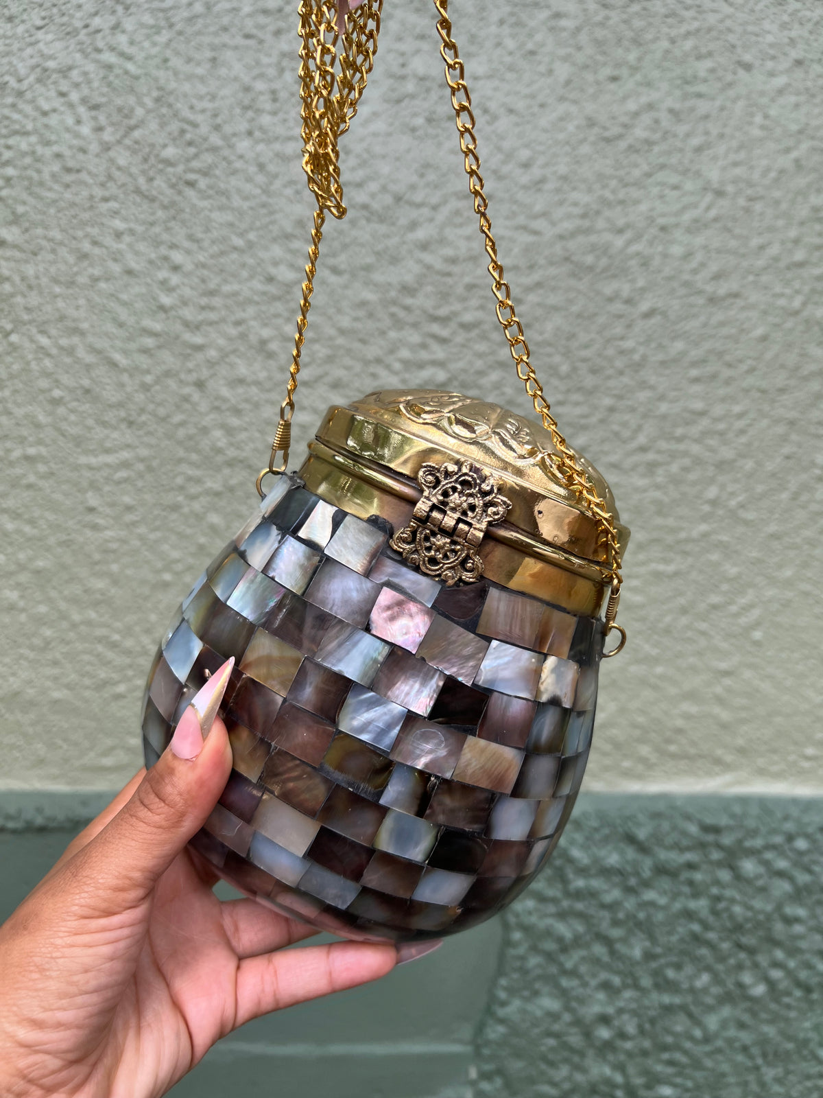 Esti Mother of Pearl Purse