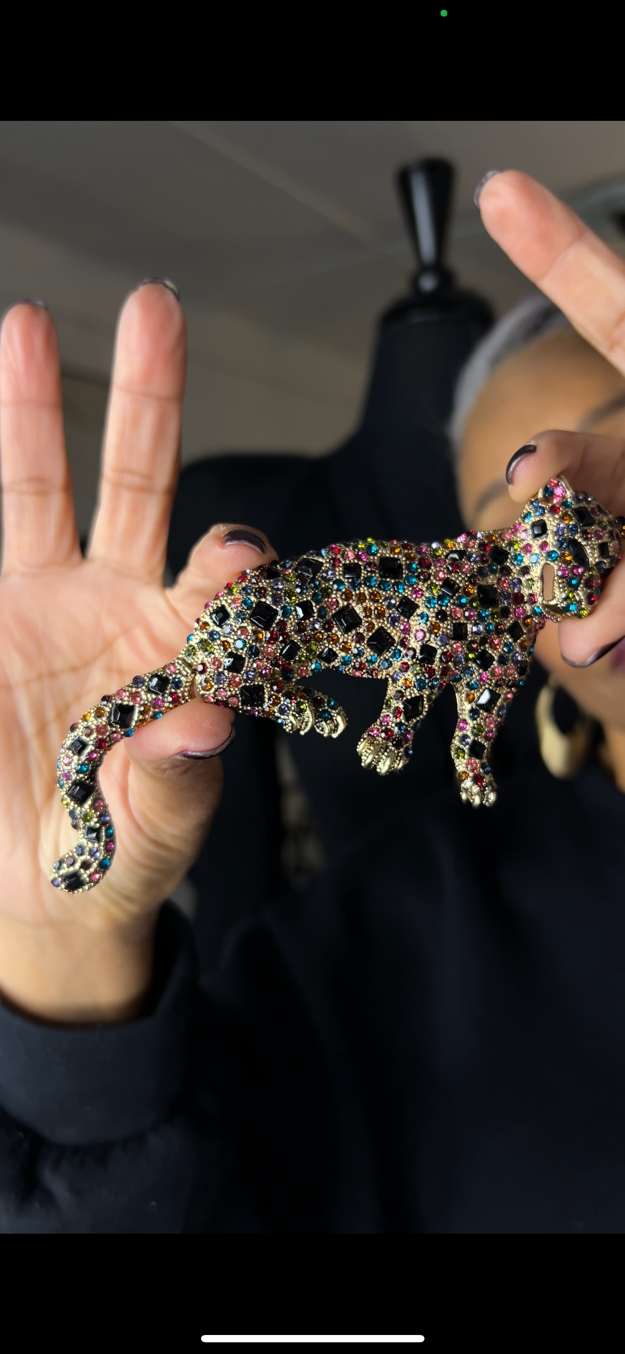 Jaquar Brooch